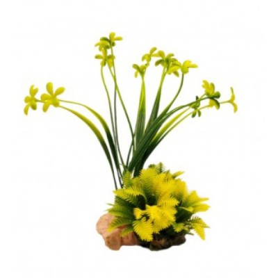 ΔΙΑΚΟΣΜΗΤΙΚΟ ΦΥΤΟ ΕΝΥΔΡΕΙΟΥ 20Χ7.5CM